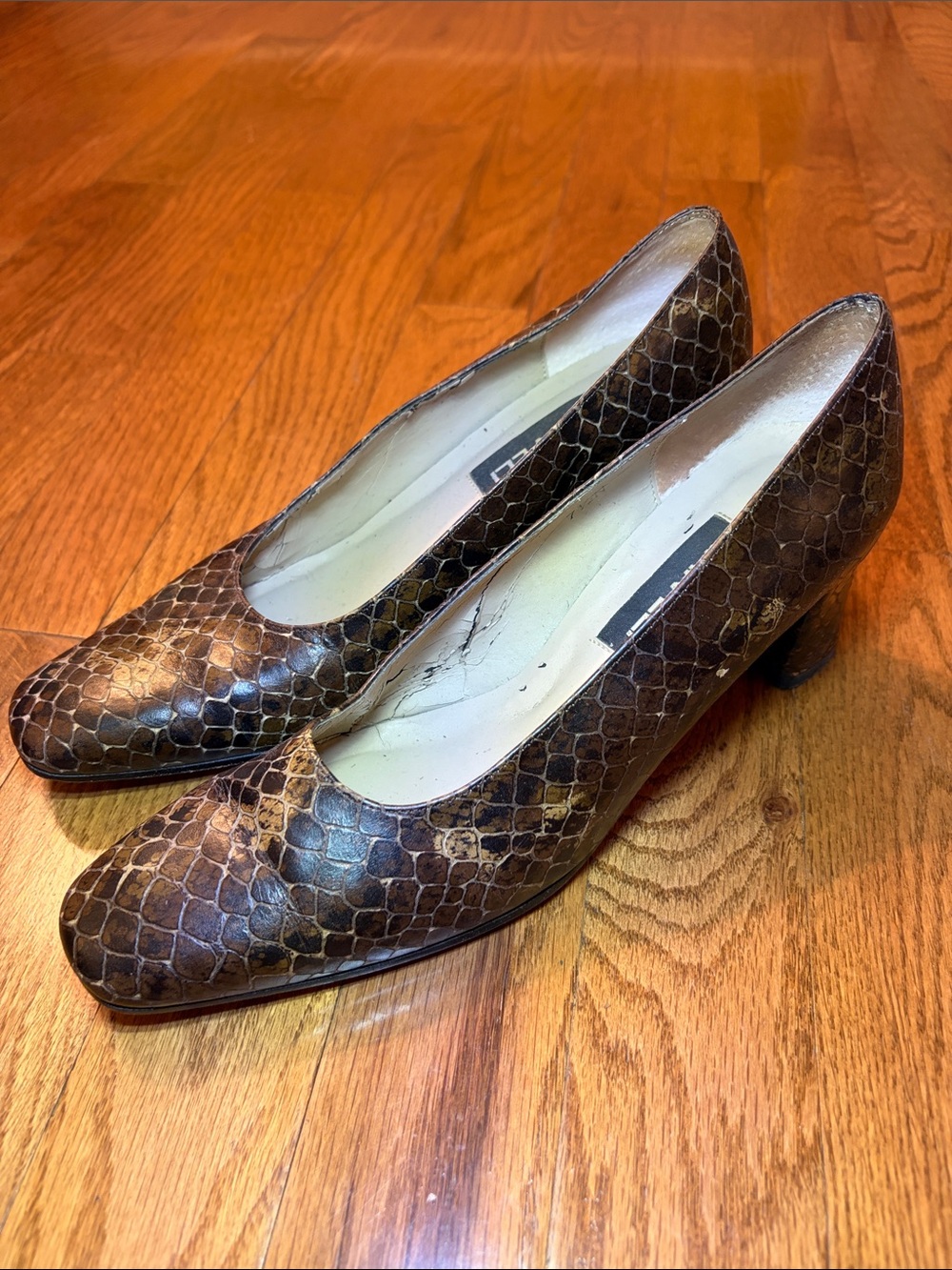 Vaneli Brown Snake-Print Low Heel Pumps